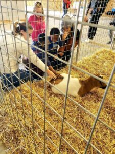 Petting the goats