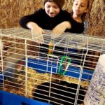 Petting the animals