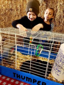 Petting the animals