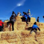 first grade students climbing the hay