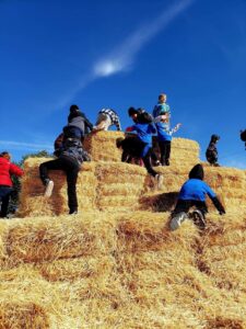 first grade students climbing the hay