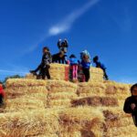 first grade students climbing the hay
