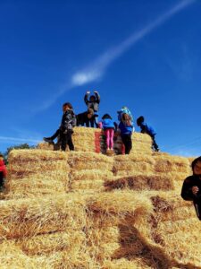 first grade students climbing the hay