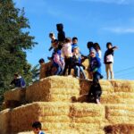first grade students climbing the hay