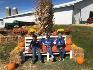 sitting on the bench at the farm