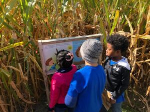 learning at the farm