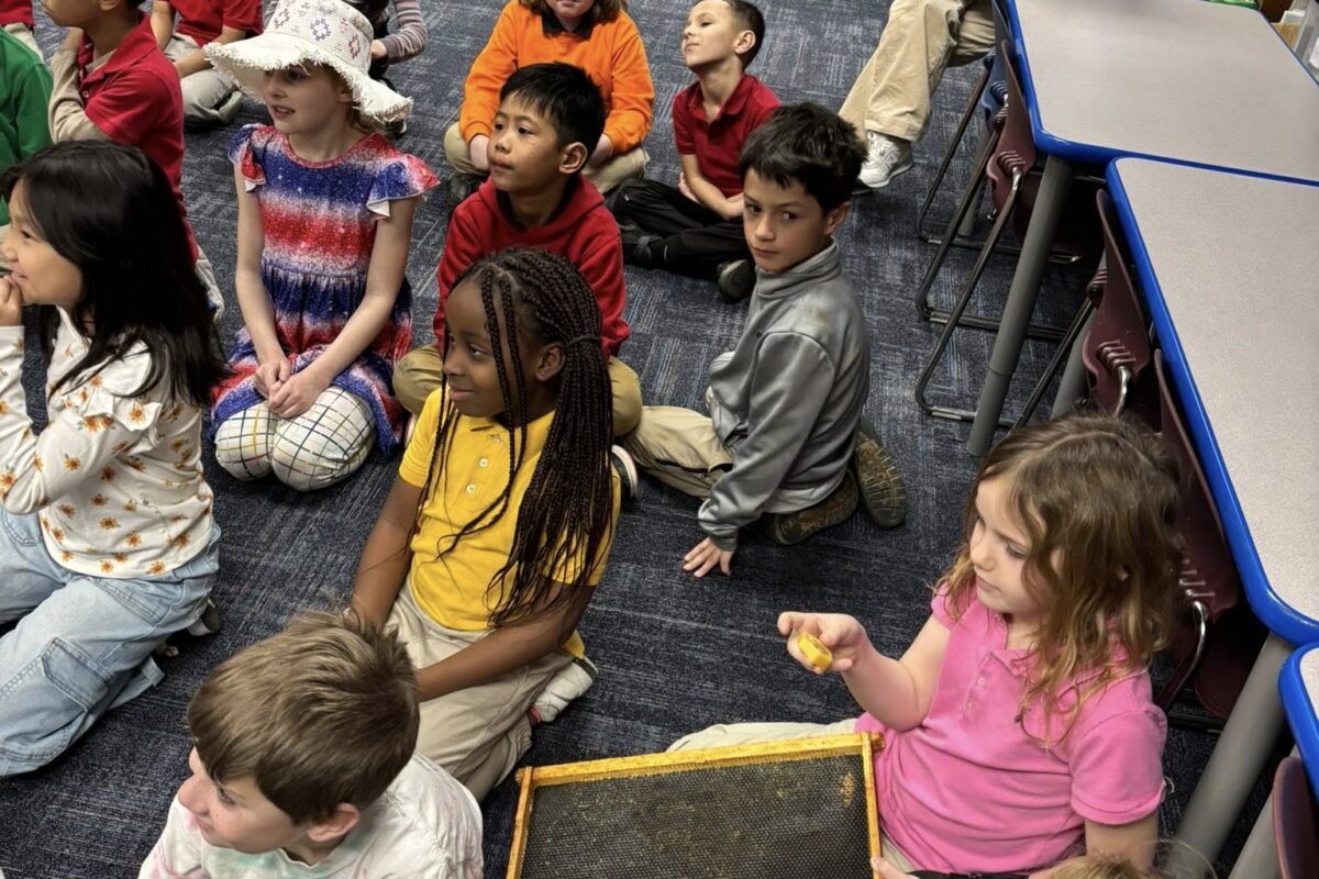 second graders listening to a presentation about bees
