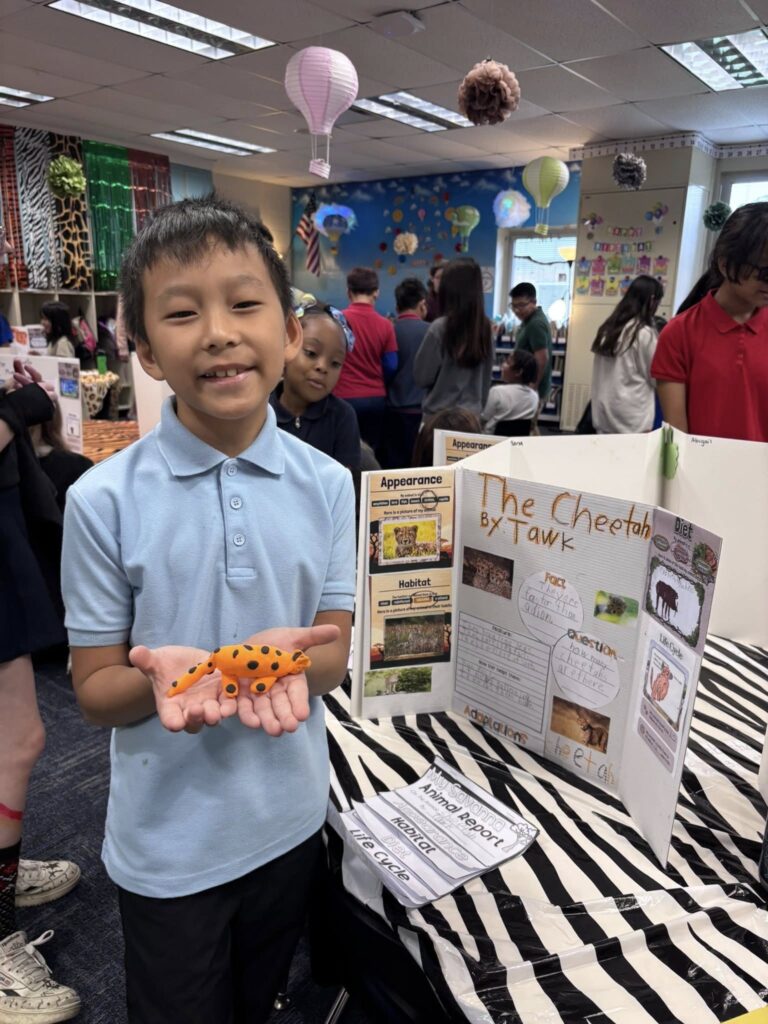 First grader holding a model Cheetah and presenting about it's habitat
