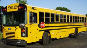 bus