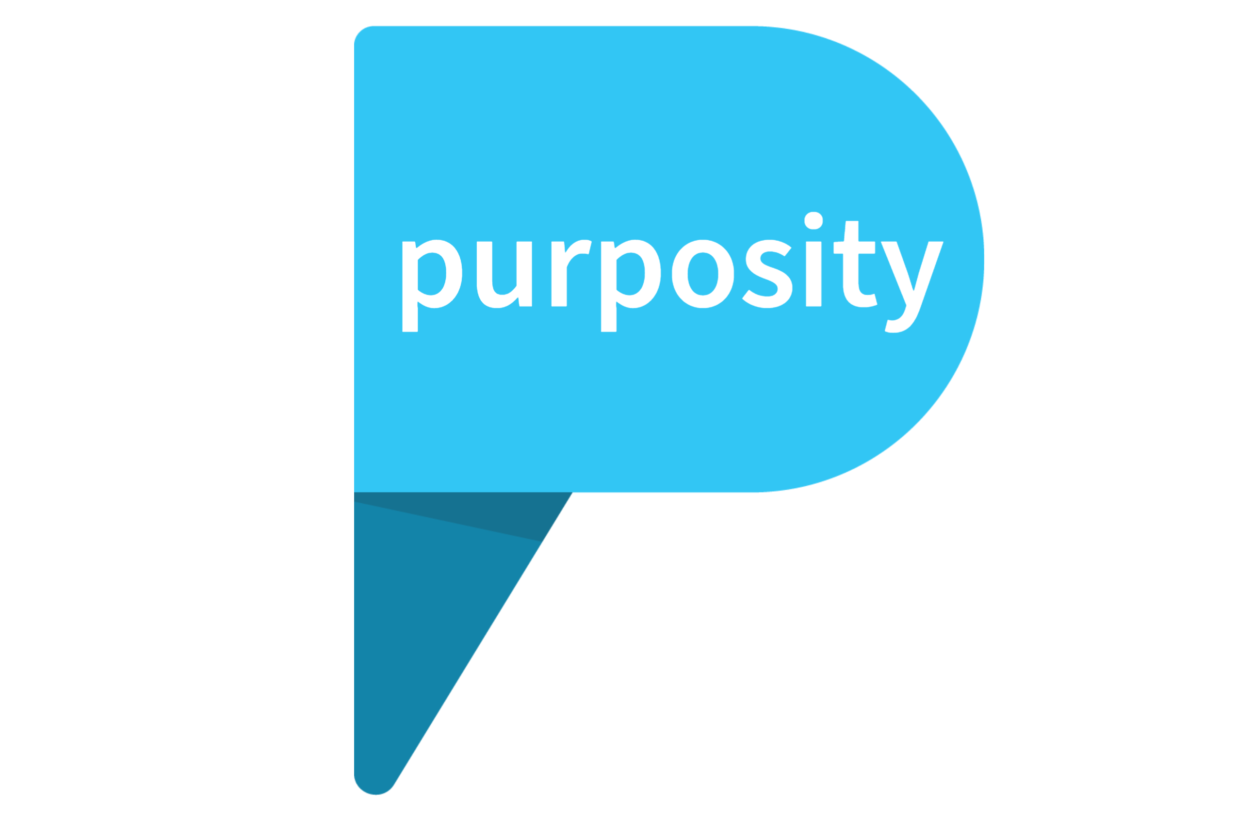 Purposity Logo